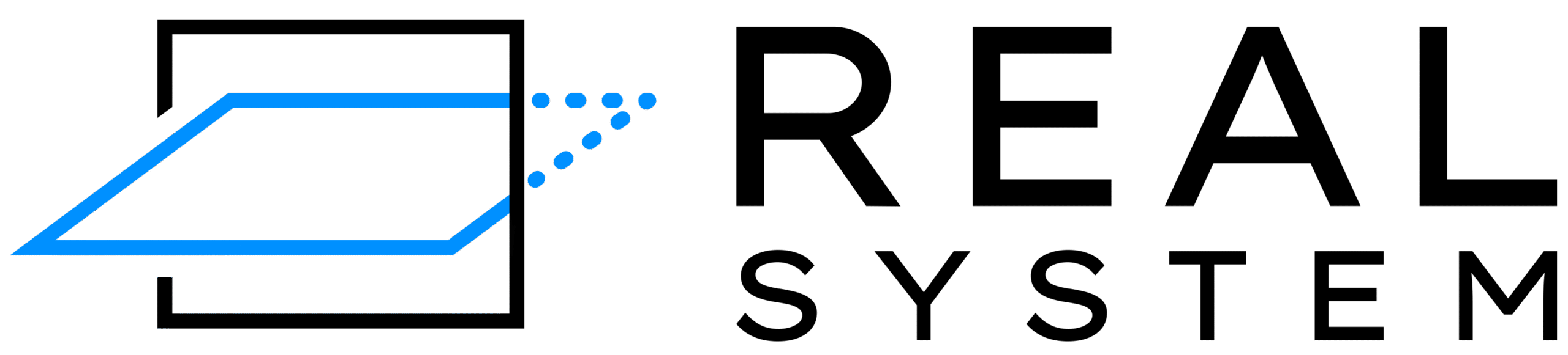 REAL_SYSTEM_LOGO