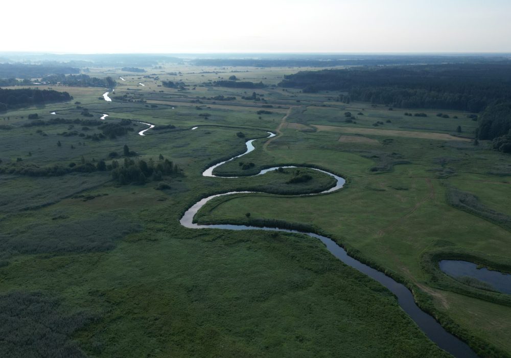 Realizacja materiałów reklamowych | Narew
