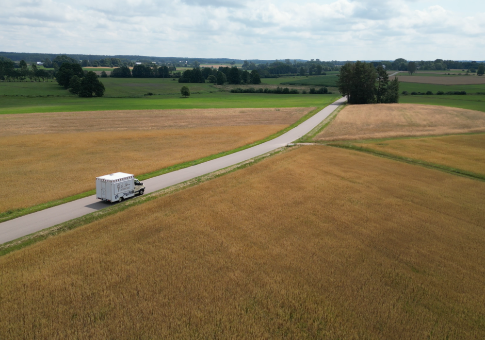 Realizacja kampania | La Storia