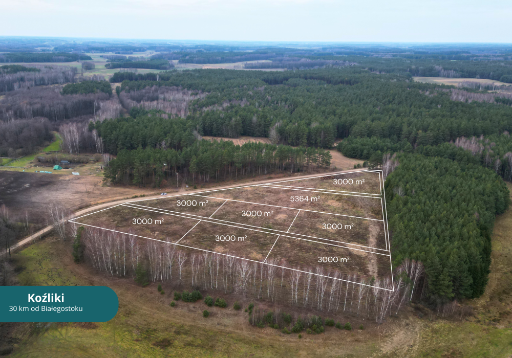 Realizacja | Koźliki